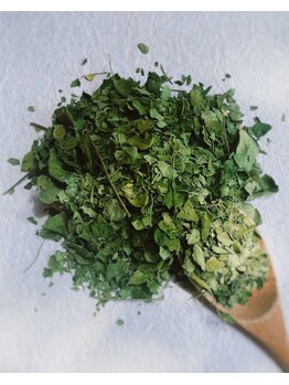 スックプラス(ssuq+)/石垣島産〈滝汗◎モリンガ蒸し〉