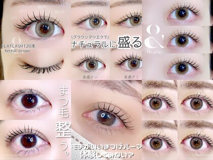 ビーティー(bT)の写真