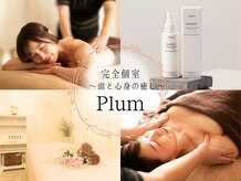 プラム(Plum in fortune lapis)