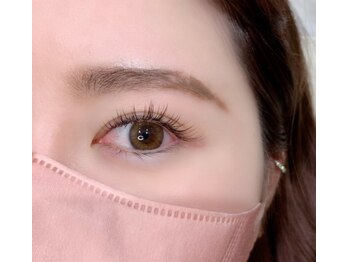 ルピナス(Lupinus)/LEDフラットラッシュ160本