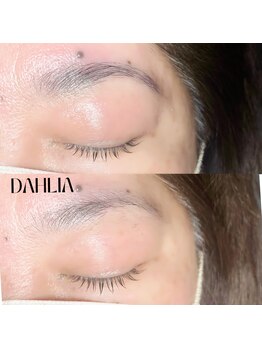 ダリア(Dahlia)/ハリウッドブロウリフト