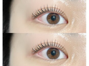 ラズリー MEGAドン・キホーテ成増店(lazley)/ まつげパーマ