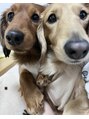 エイミー 小牧店(aimy) 犬2匹飼ってます(*^^*)