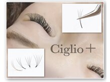 チリオプラス(Ciglio+)/話題のプレメイド