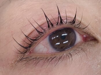 アイサロン パフューム(PURFUME)/デザインカール