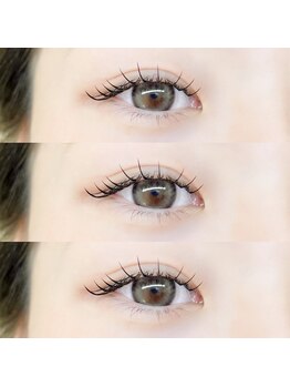 ロブ 自由が丘(LOB)/フラットラッシュ(LED)120本