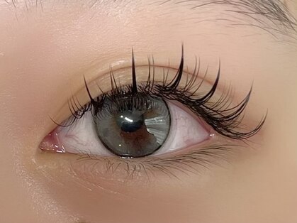 テクニコ(tecnico)の写真