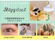 エイティピカル(Atypical)の写真