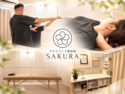 サクラ(SAKURA)の写真