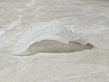 ボニータアンジュ 恵比寿(Bonita Ange)/顔脱毛・ワックス脱毛・メンズ