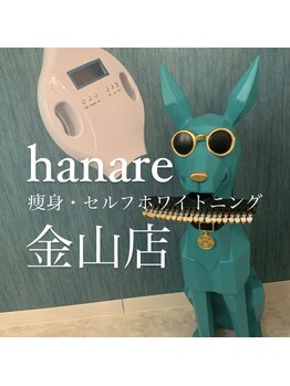 オンディーヌ ハナレ 名古屋店(HANARE)/セルフホワイトニング