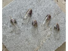 ツリーハウスネイル(tree house nail)/ハンド定額¥5900