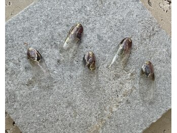 ツリーハウスネイル(tree house nail)/ハンド定額¥5900