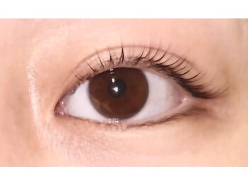 センティア MEGAドン・キホーテUNY小牧店/まつ毛カール（パーマ）