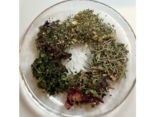 ネモ 恵比寿(nemo)の雰囲気（ミラクルツリー沖縄産モリンガお選びいただけます。モリンガ蒸し）