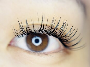 レアー(RHEIA)/Wフラット80束