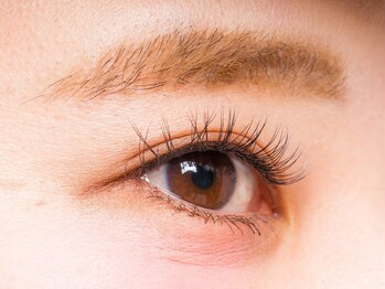 シアラ 本厚木(Ciara)/フラットラッシュ