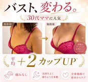 フェリス(Feliz)
