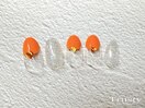 【ハンド】定額1