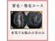 ルナイーズ(Luna Ease)の写真