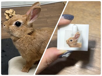 モフルール(Mofuleur)/手描きアート・うさぎ