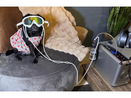 ホバー ペット(HHOBAR PET)の写真