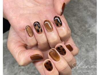 シャイン(Shine)/定額デザイン