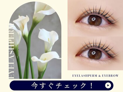 レニーブロウ 博多駅前店(Reni brow)の写真