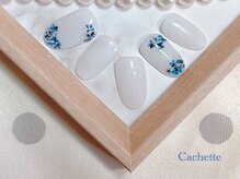 カシェット(Cachette)/定額アート