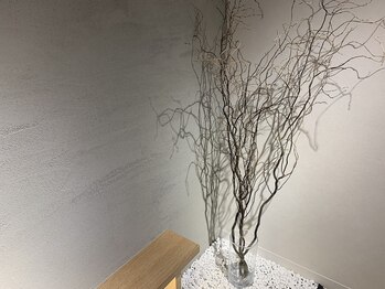 シエルエス(Ciel s)/この木なんの木♪