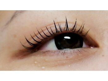 テラスアヴェダ 心斎橋店(Terrace AVEDA)/ラッシュリフト（Uカール）