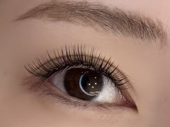 ブランシュ(Blanche)/ボリュームラッシュ100束