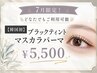 特別価格★ブラックティントマスカラ(上)パーマ ￥5500