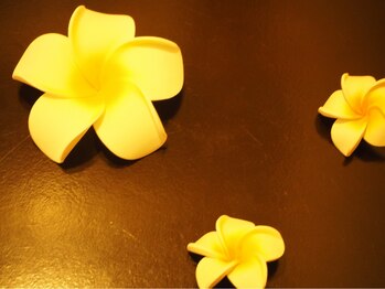 癒しアンドほぐし/◆フランジパニ◆