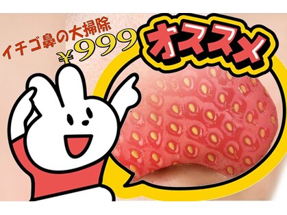 ツインズの写真
