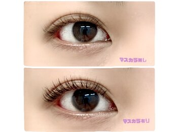 ケーライズネイル アンド アイ(K Rise nail&eye)/まつげパーマ