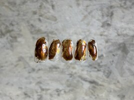 定額Aコース¥7980