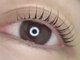 ココ バイボウ アイラッシュ 栗東(COCO by BEAU eye lash)の写真/新メニュー☆まつ毛トリートメント"グリッダーセラム"ダメージを抑え高持続なまつげパーマで理想な目元に♪