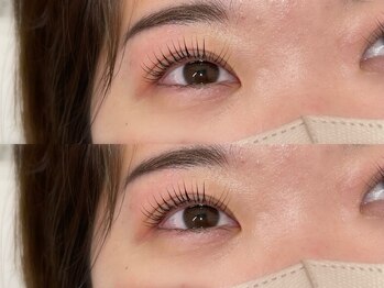 ラズリー MEGAドン・キホーテ成増店(lazley)/ まつげパーマ