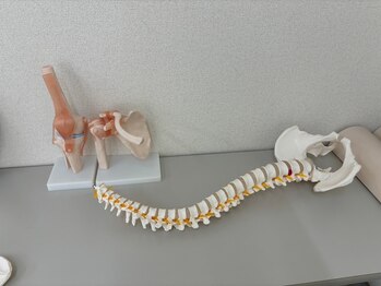 ビオ接骨院 小牧院/ドライヘッドスパ/眼精疲労/腰痛