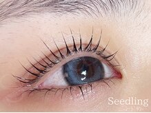 シードリン(Seedling)/まつげパーマ上下