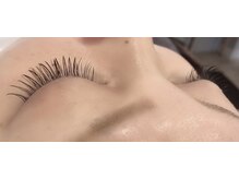 シルフ 松原店(Sylph)/