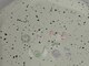 アイネイルズ 大宮店(Ｉ nails)の写真