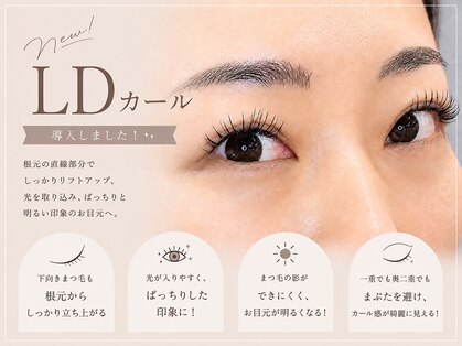 フェディス(Fedis)の写真