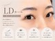 フェディス(Fedis)の写真