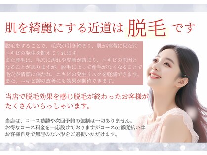 メイプル(Maple)の写真