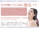 メイプル(Maple)の写真