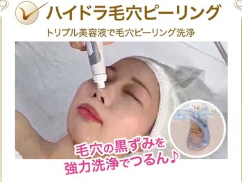 ダリア 瑞穂(DAHLIA)