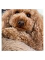 ナラ 大橋店(nala.) 好きな日課散歩。犬(リリ)を愛でる。