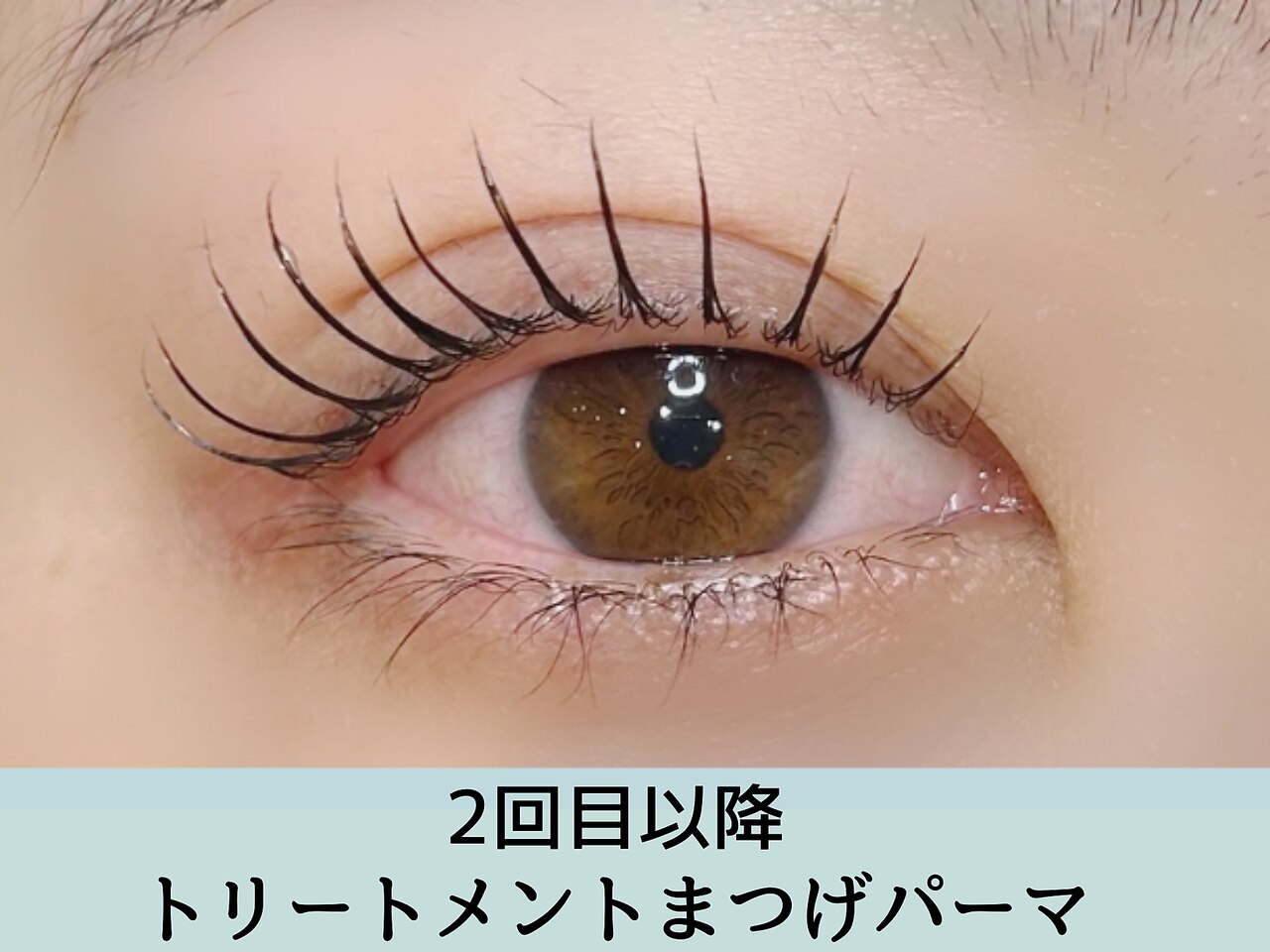 ２回目以降＜トリートメントまつげパーマ＞似合わせデザイン　6000円